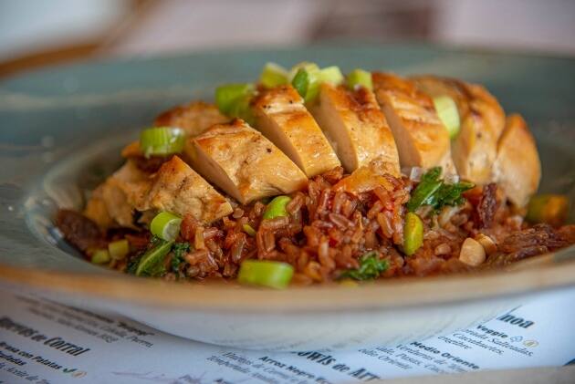 pollo