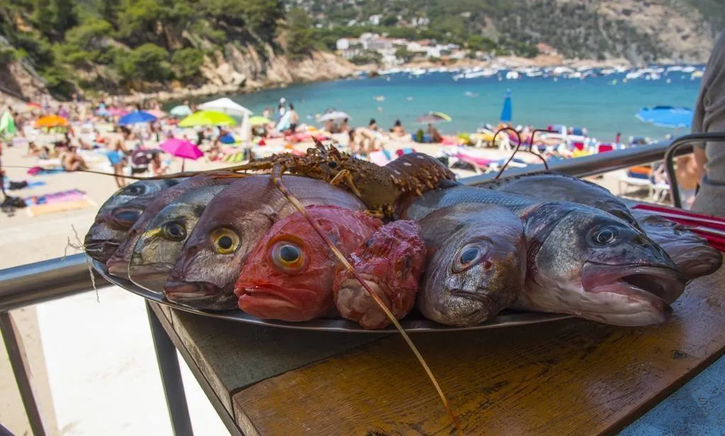 Toc al mar