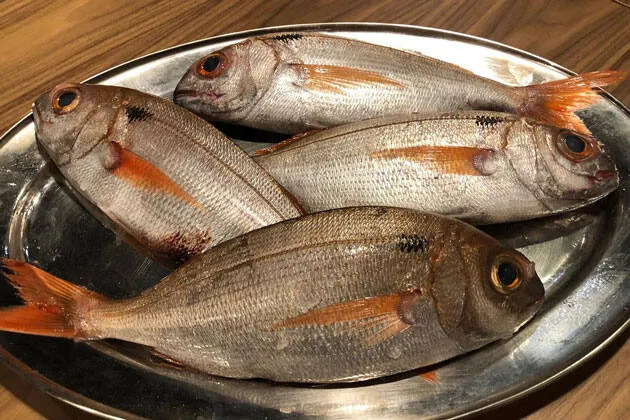 Basea: del mercado a la brasa
