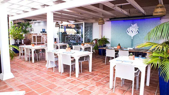 Vëla i Tasty Trips, que comenci l'espectacle!
