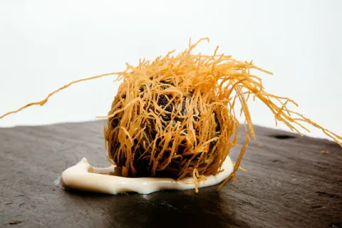 Croquetina turner