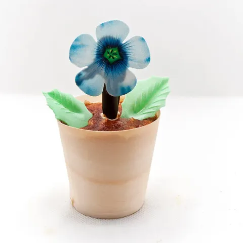 Mousse “La Vie”