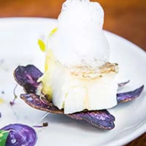 Plat gastronòmic