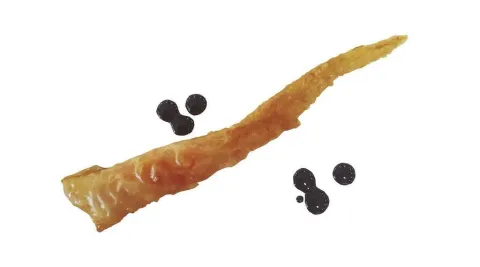 Twister de gamba