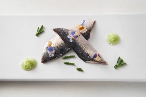 Menú degustació + Inedit 
