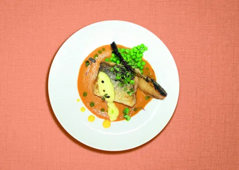 Menú gastronòmic + 1 cervesa Turia 33 cl
