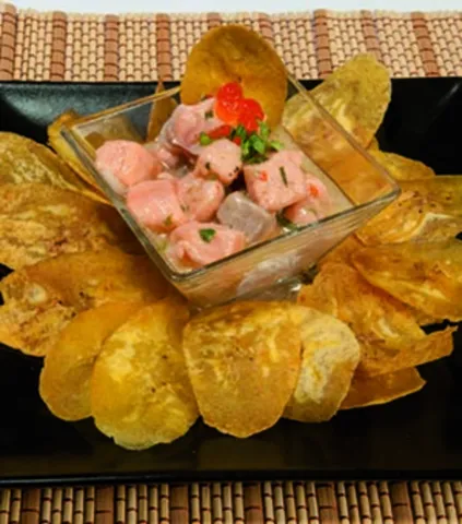 Mastersebiche de salmó