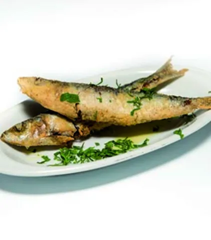 Tapa Bar Nolla