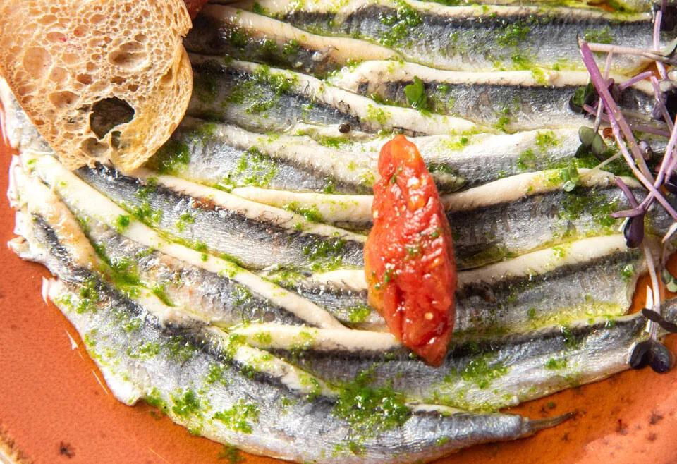 Las mejores recetas de anchoas