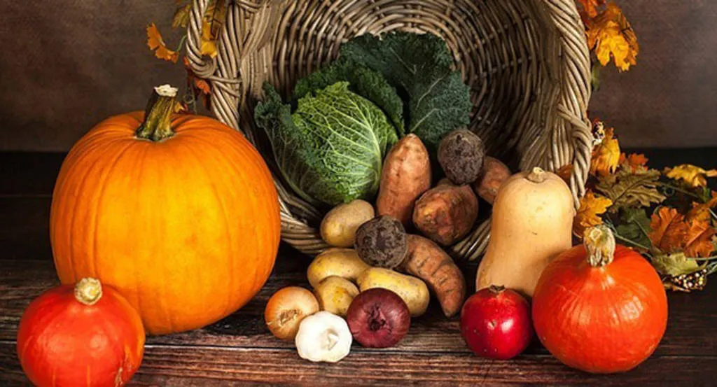 Cómo llenar la despensa de cara al otoño 
