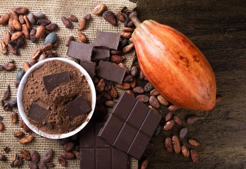 1 de febrer, Dia Mundial de la xocolata negra: descobreix totes les seves virtuts 