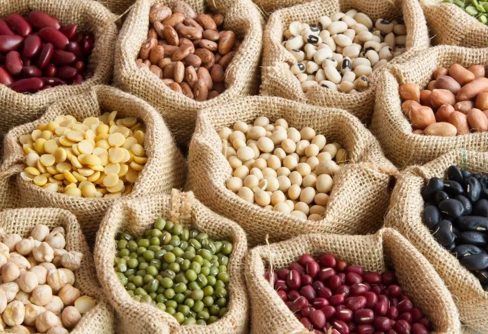 Llegums: prepara aquestes 5 nutritives receptes 