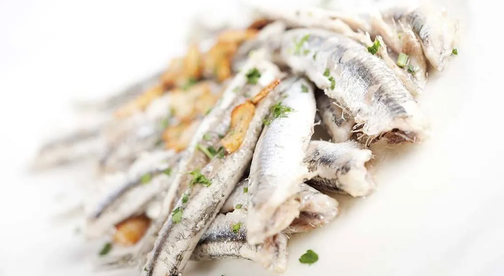 Anxoves del Cantàbric, un petit i nutritiu tresor
