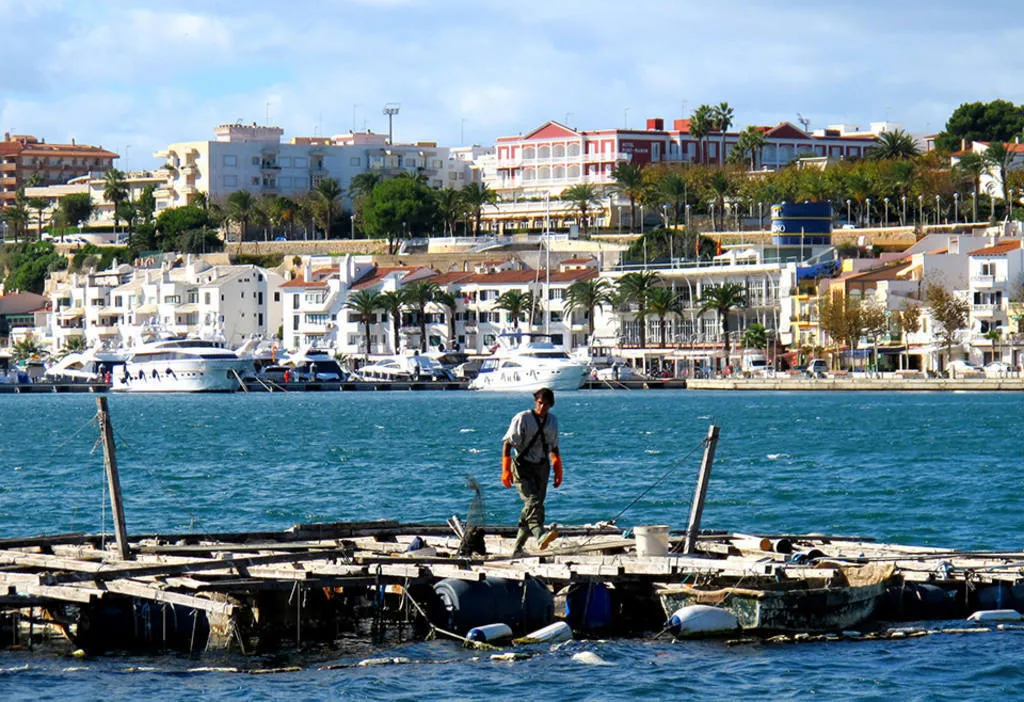 El 'marisqueo' al port de Maó