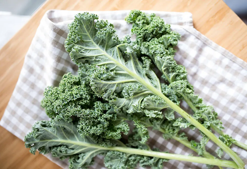 Kale, el regnat de l'hortalissa súper nutritiva