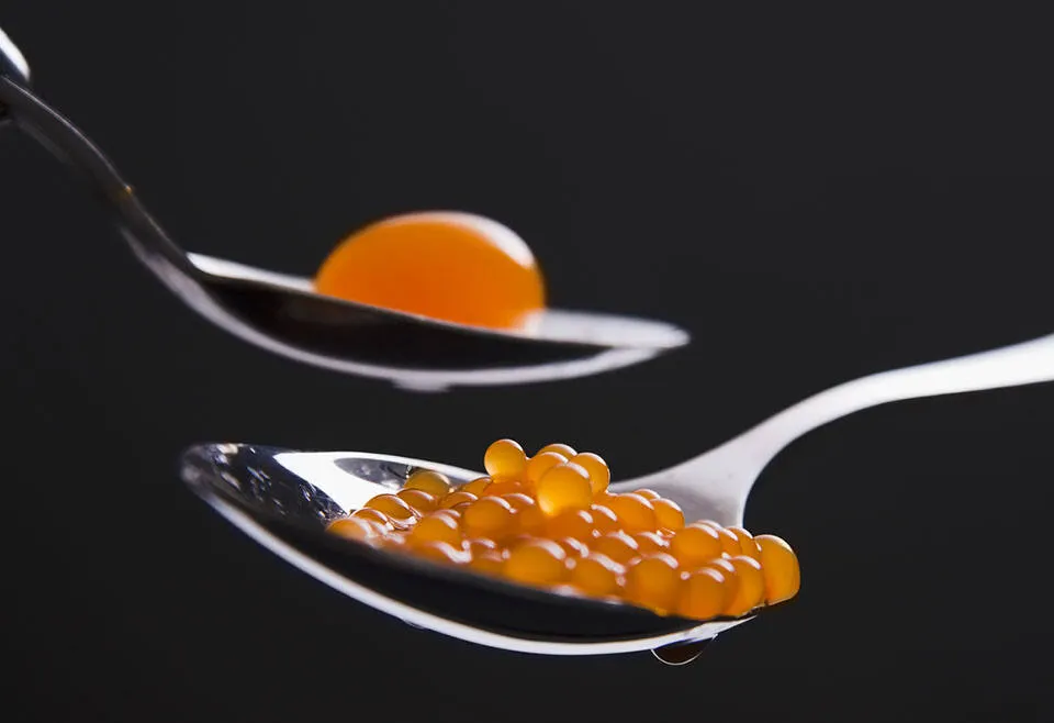 Dels canelons de l'àvia a la gastronomia molecular