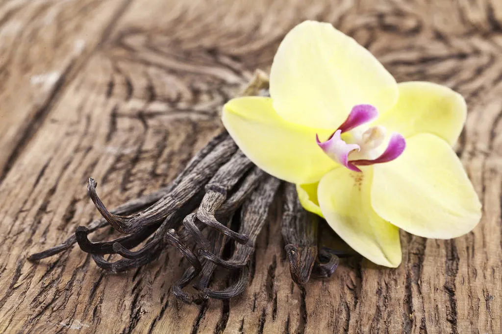 Vainilla, l'orquídia de la cuina: història i 5 receptes dolces i salades
