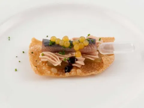 La perla del mar y la tierra
