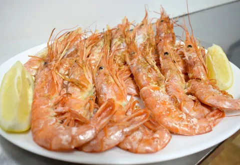 El Pimpi Florida