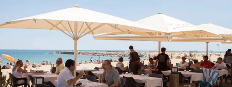 Platja Ca la Nuri, arroces de proximidad con vistas al mar