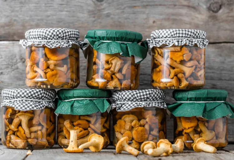 5 platos de setas que tienes que probar este otoño