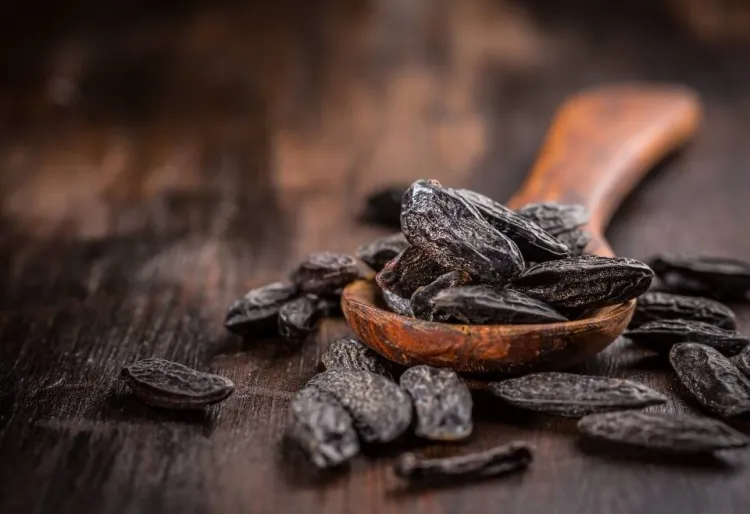 Haba tonka, el aroma prohibido