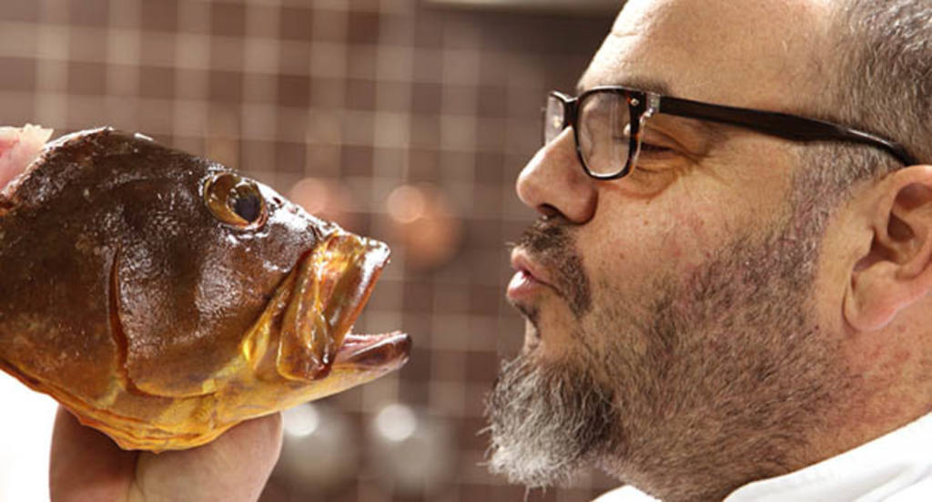 Gastromusical-Herrera